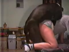 [ Dog Ejaculating Video ] Attractive sportswoman likes having sex with her boyfriends dog when this guy works